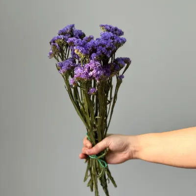 Limonium (Blue)