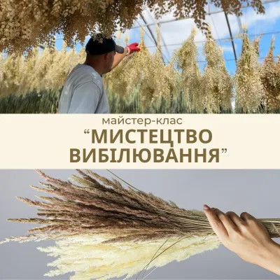 The art of dried flower bleaching