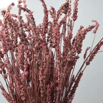 copy of Лаванда стабілізована