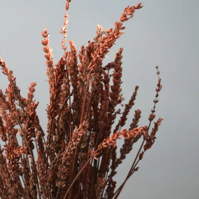 Лавандин стабілізований...