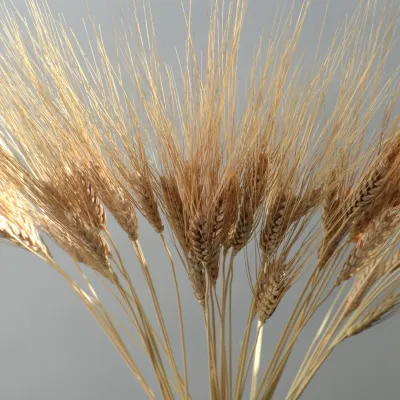 Пшениця жизель натуральна...