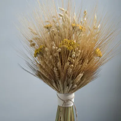 Sheaf "Light of the Family"