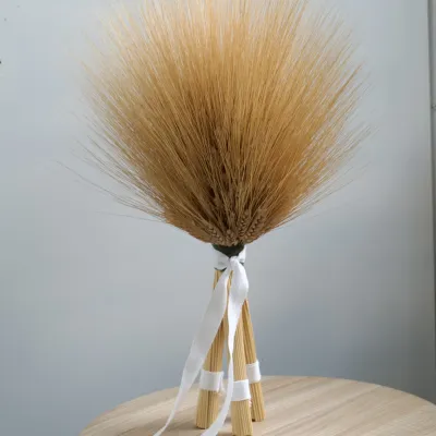 Didukh "Evening Glow"