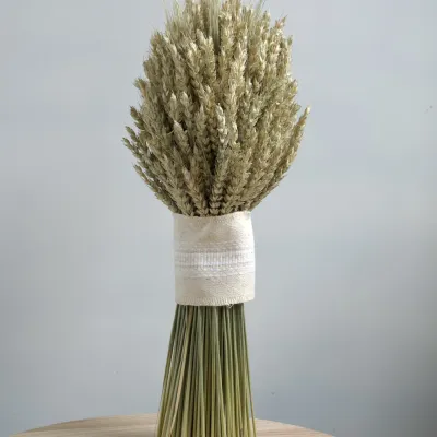 Sheaf "The Silence of the...