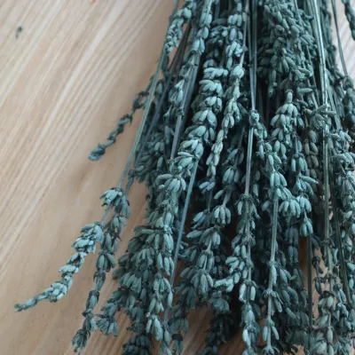 Stabilized emerald lavender