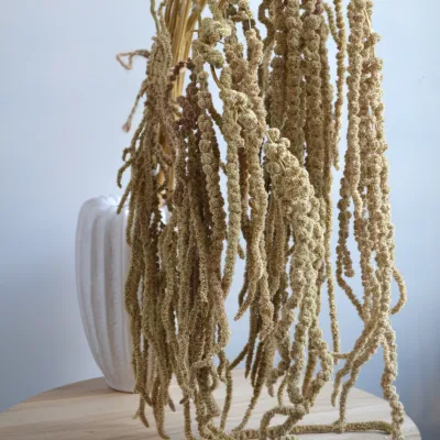 Amaranth light green (natural)