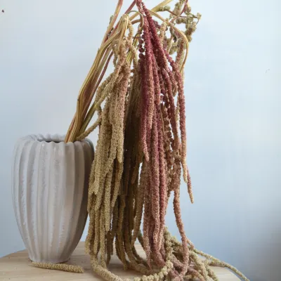 Amaranth pink-green (natural)