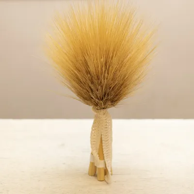 Didukh "Evening Glow"