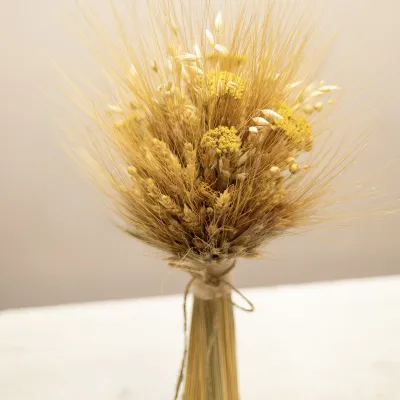 Sheaf "Light of the Family"