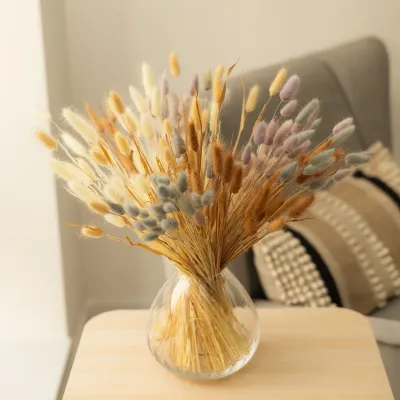 Мікс лагуруса