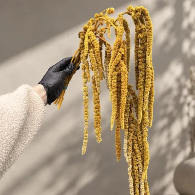 Stabilized mustard  amaranth