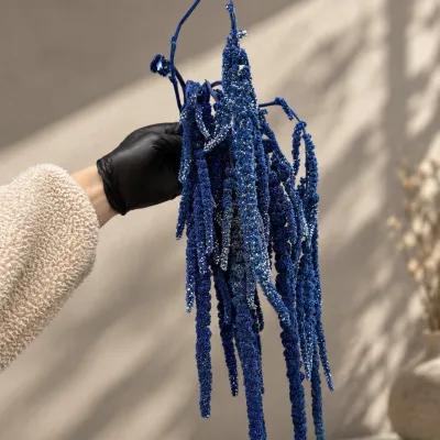 Amaranth stabilized indigo